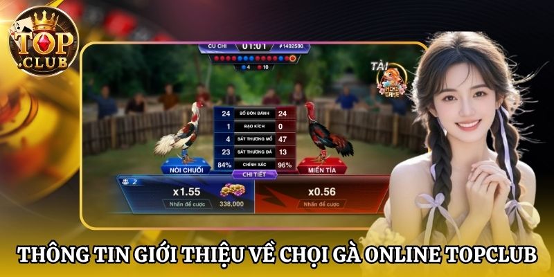 Thông tin giới thiệu về chọi gà online Topclub